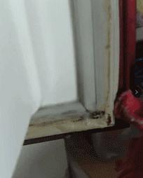 厨房油烟机大清洗，家里婆婆这样弄，几分钟油烟机锃光发亮