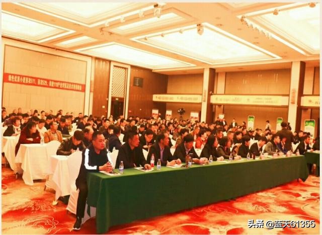 小麦高产产业链,三大绿色优质小麦