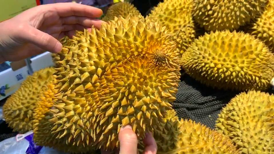 榴莲判断坏没坏,榴莲好果辨别