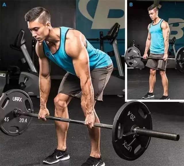 女性哑铃练背经典8个动作,健身房练背最好的6个动作