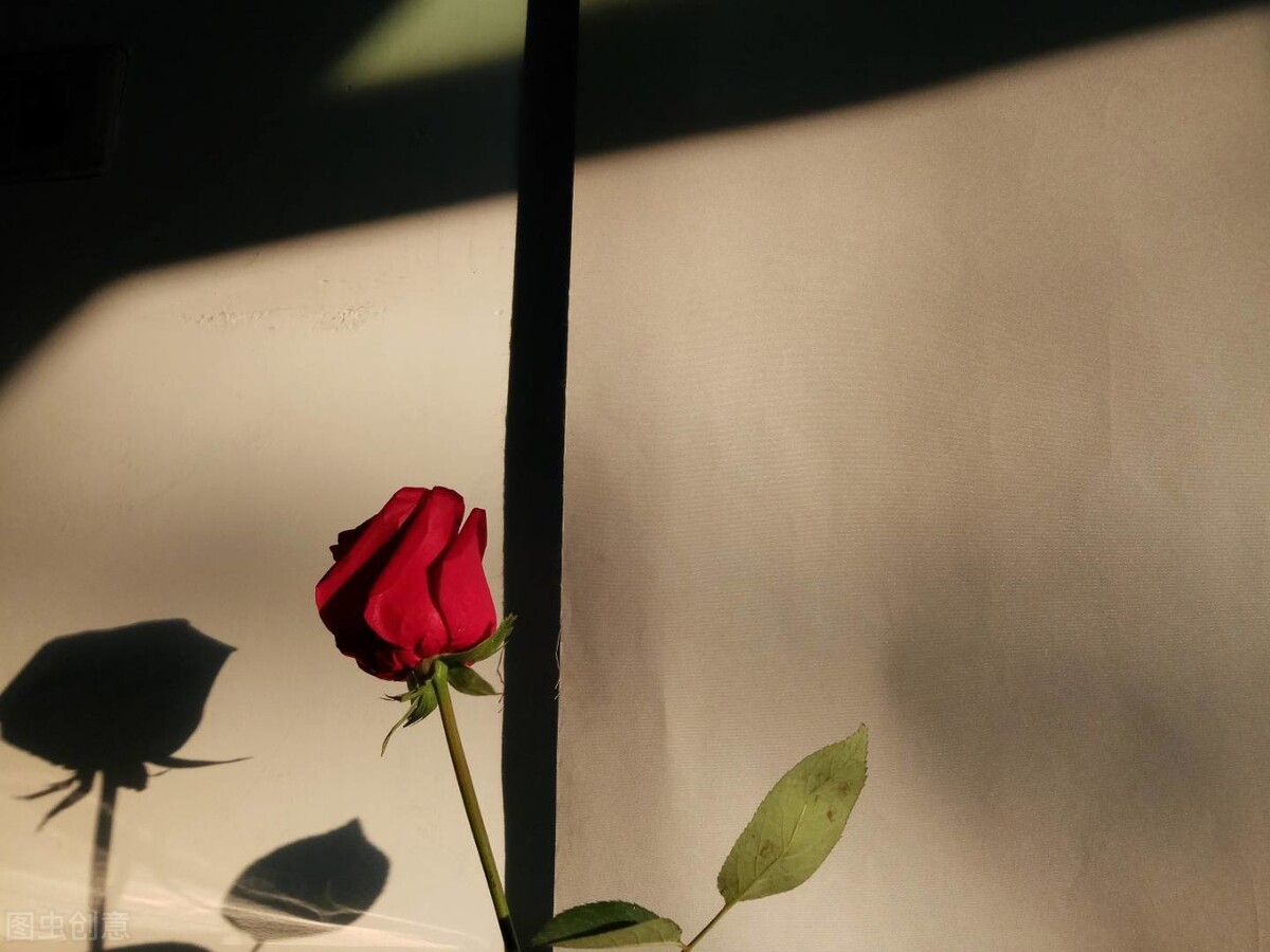 心若静了万物都是景,心若清净处处皆是莲花