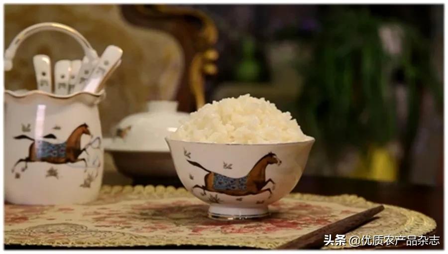 胚芽米为何成了“网红米”？北纬45°的寒地胚芽米竟然越凉越好吃