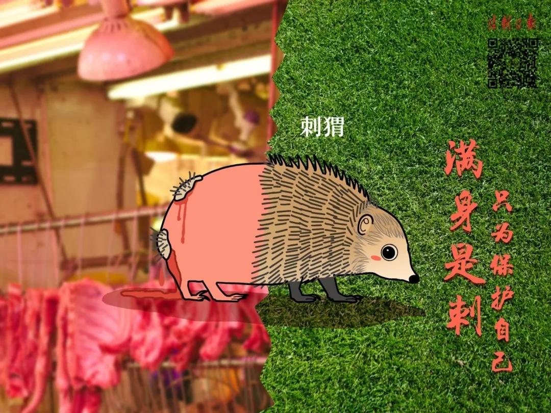 呼吁大家拒绝野味怎么说,拒绝野味该做到的事情