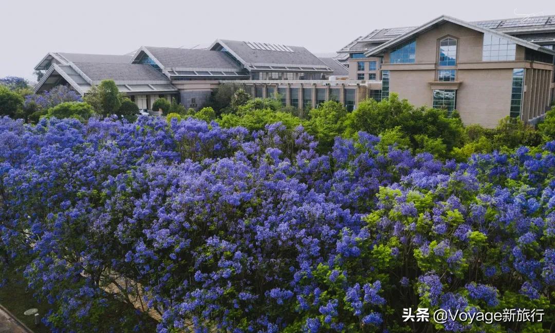 倒计时5天！这些奢华酒店的520打开方式，帮你称霸秀恩爱大赛