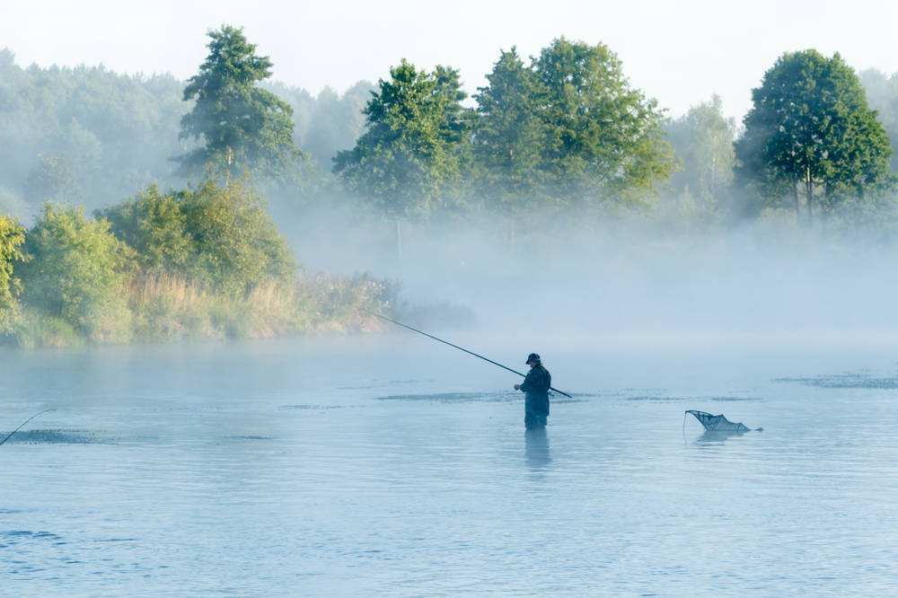 钓鱼王疯钓鲤推荐配方,钓鲤秘方
