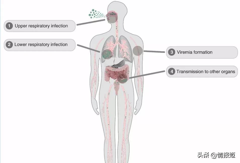 做肛拭子难受吗,做肛拭子能穿孔吗