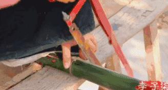 去日本买马桶盖,去日本抢购马桶盖是怎么回事