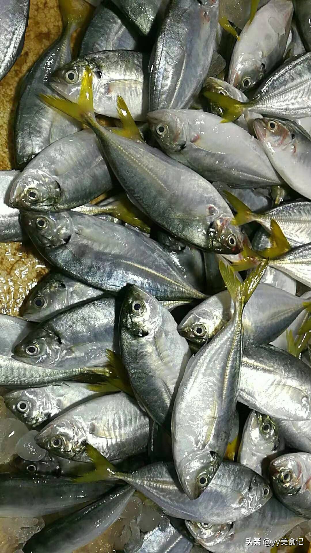 东兴便宜的海鲜市场 (东兴哪里有海鲜新鲜的)