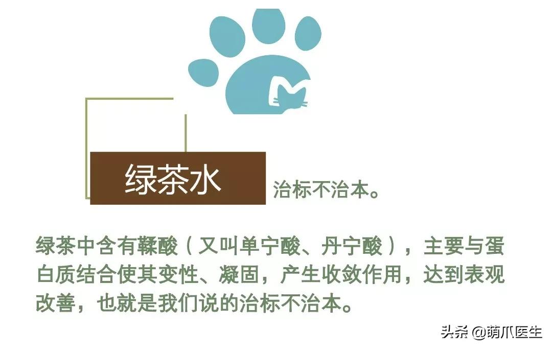 猫咪下巴长了黑头？千万别去抠，那是猫咪患上了毛囊炎的症状