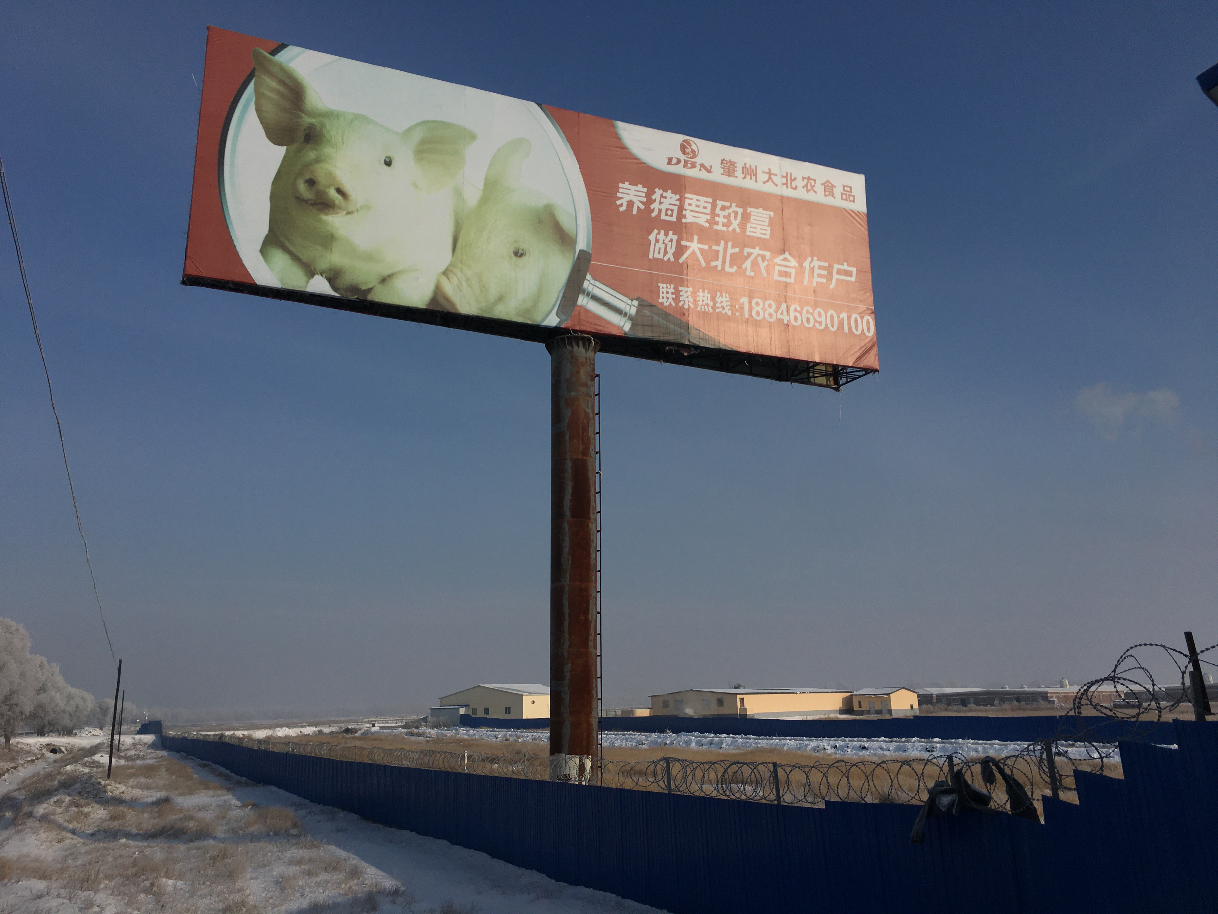 “吓尿”的养猪场：私设干扰设备致航班信号丢失，只因听说“炒猪团”无人机撒病毒，被罚后仍提心吊胆