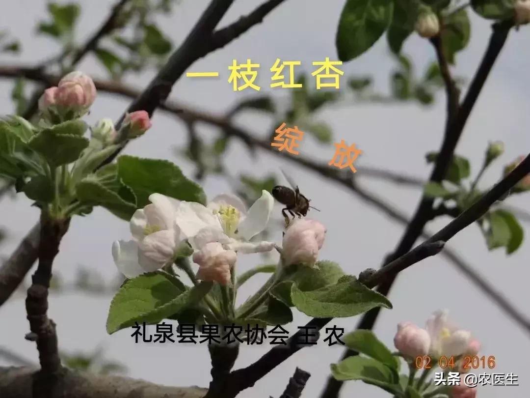 一线实战专家,一线实战导师经验丰富