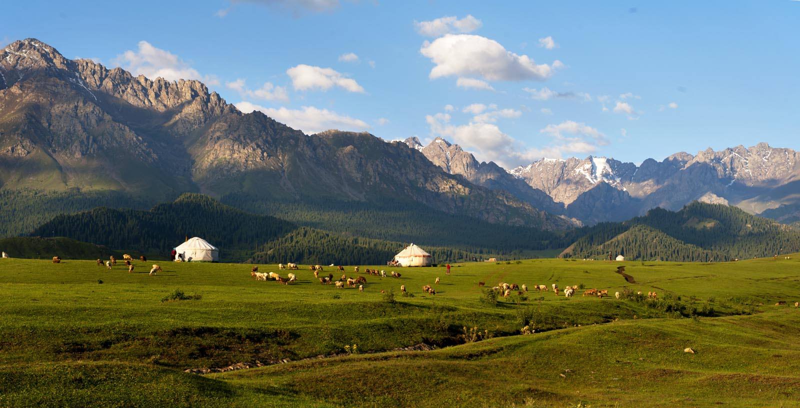 新疆天山世界文化遗产,天山为什么被入选为世界自然遗产