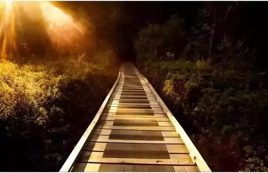 生活中无处不在的美,生活之中无处不在的美