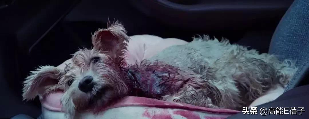 复仇方式电影,最狠的复仇方式电影