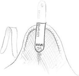 nikekd10图片,nikekd10黑金