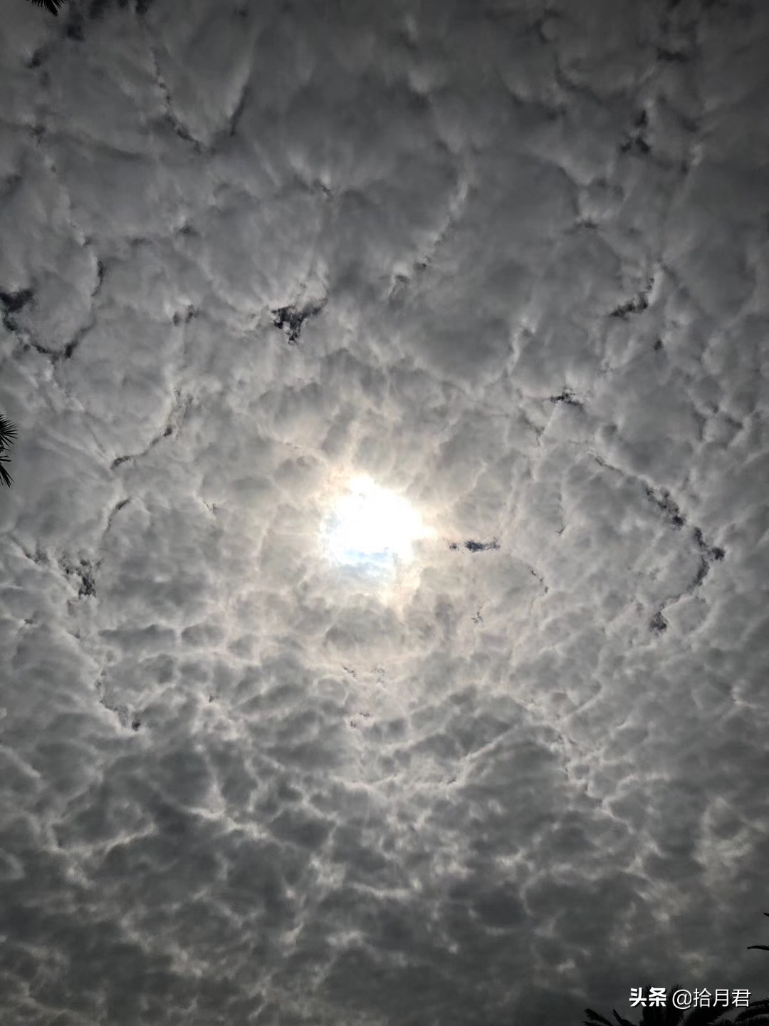 疫情之下中国老百姓生活,疫情之下百姓的生活