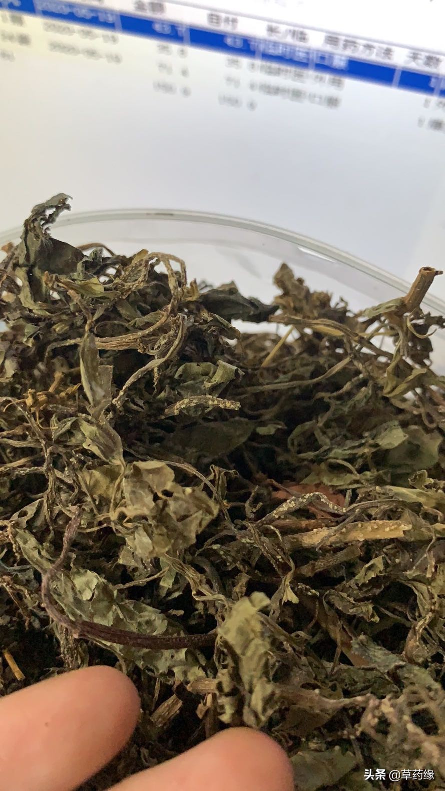 种植草药骗局,种植中草药的几种骗局