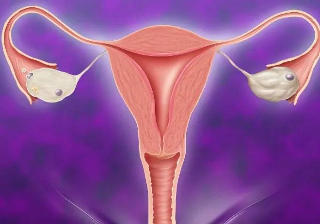 关注女性身心健康,关注她健康