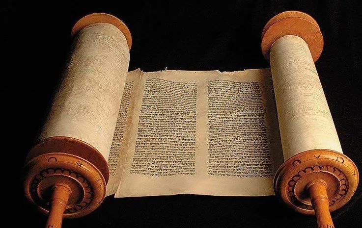 来聊一聊傲慢与性之恶花