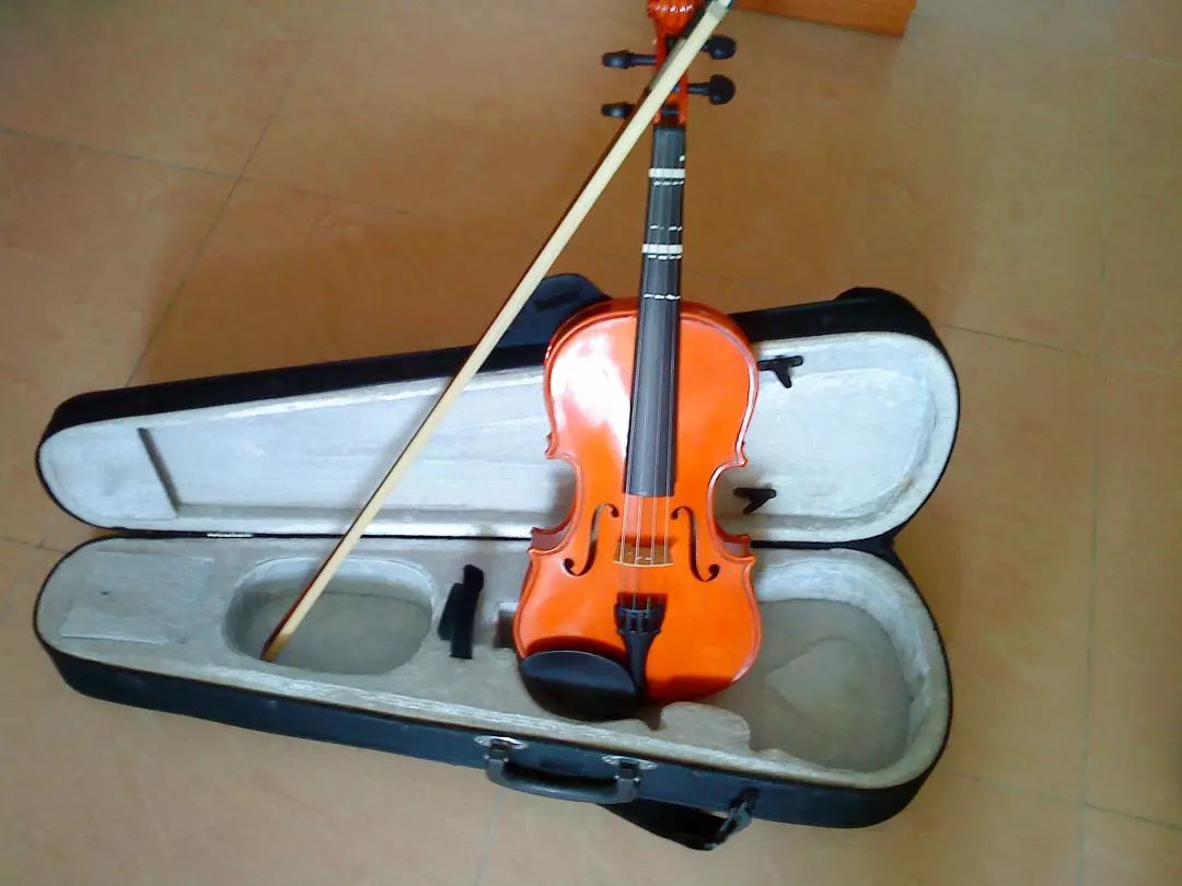 小提琴难吗有多难学,小提琴难还是二胡难