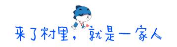 在江夏，我遇见了青松