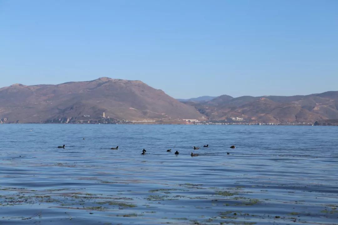 环海西路何时开工,环海路开放时间