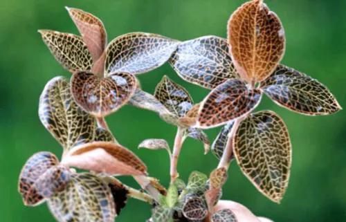 山东省福建商会闽商之家,闽商之家济南