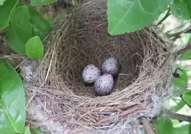 人越老越喜欢回忆过去,人一旦老了就特别爱回忆