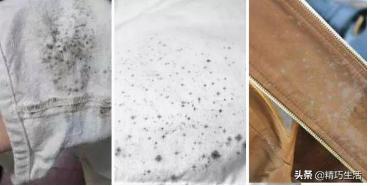 毛料衣服发霉怎么洗掉霉斑,发霉发黄的衣服怎么洗掉霉斑