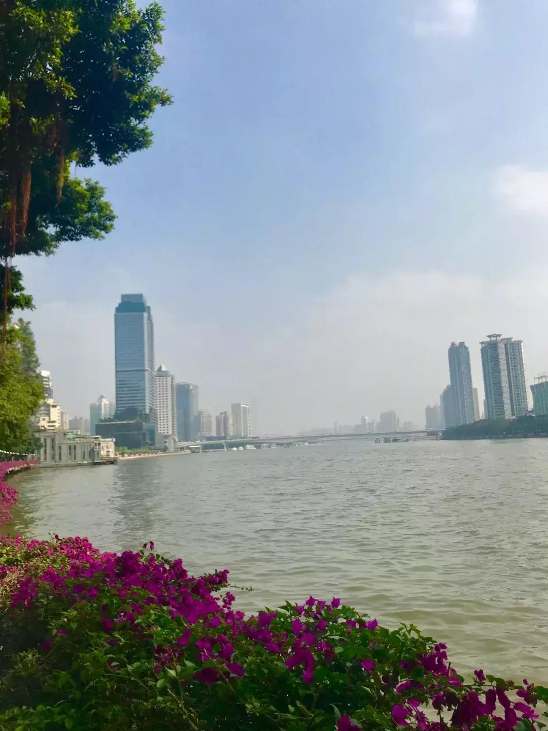 广州一日游的感受,广州一日游感想