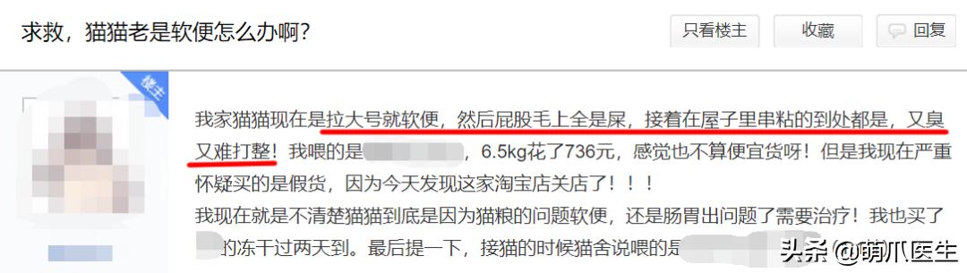 猫咪软便和拉稀的区别是什么,猫咪软便拉稀是如何处理