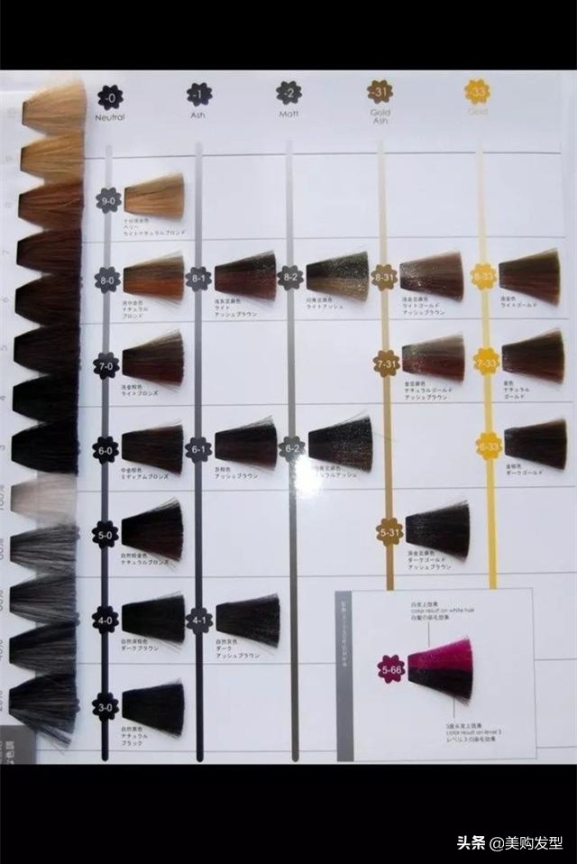 meigo鍙戝瀷,meigo鐑彂鏁欏