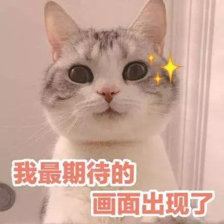 毛晓彤谈感情时林允眼神,毛晓彤谈林允