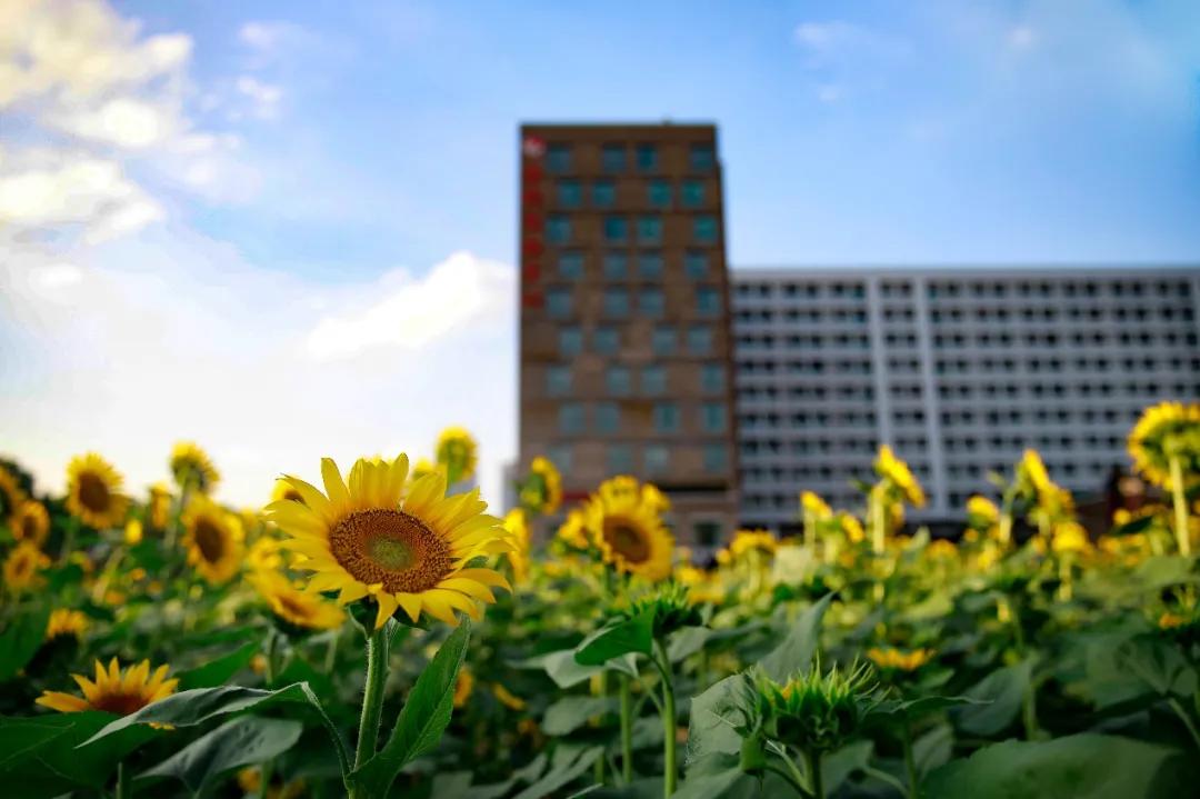 浙江传媒学院考研报考分析丨22级新传考研报考分析