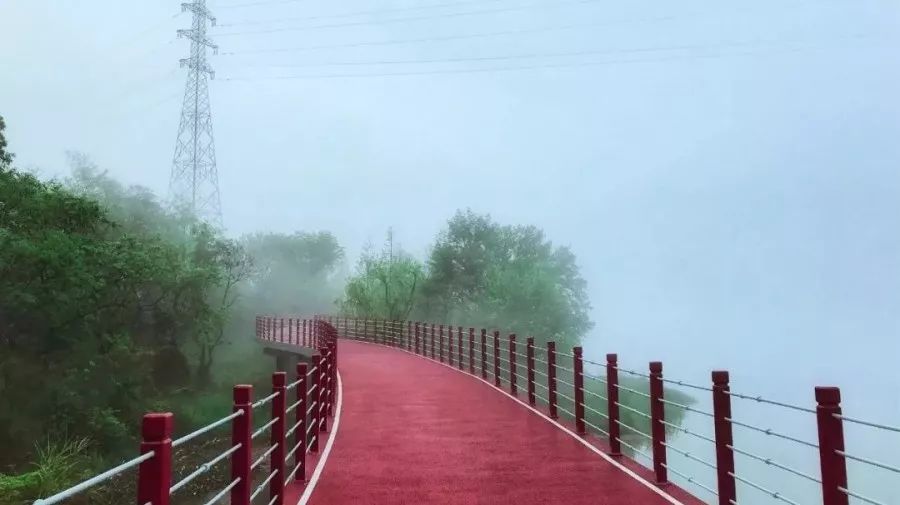 250公里！颜值爆表！杭州这条世界级景观长廊，最新进展抢鲜看