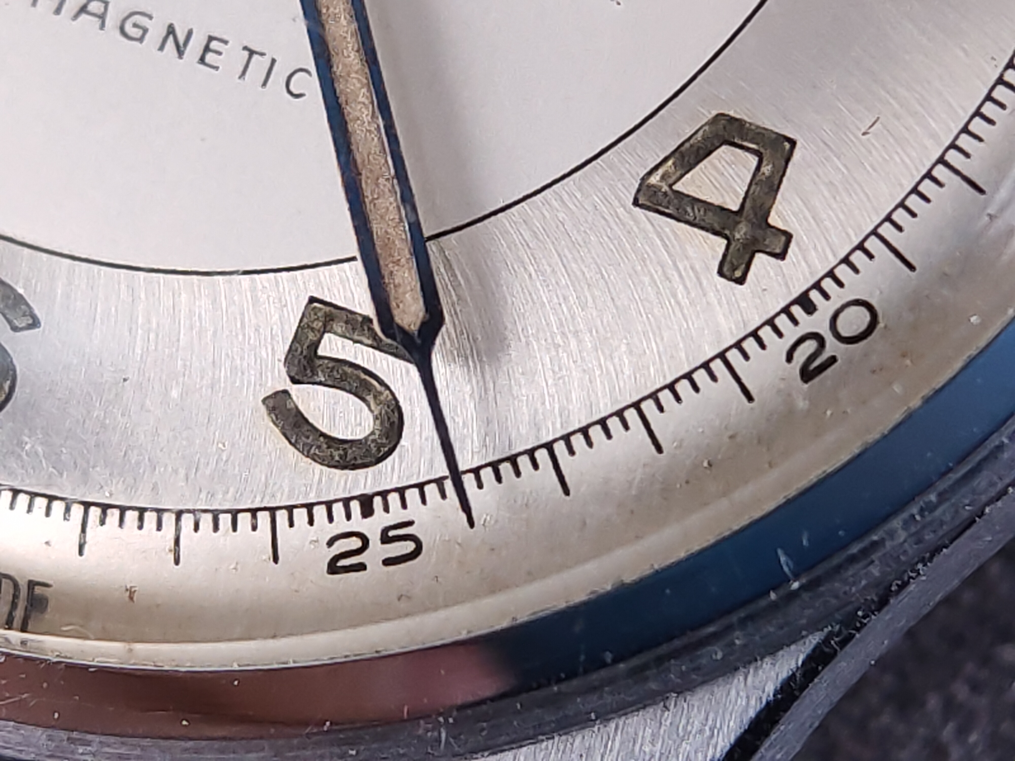 因为一条鱼爱上一个人,因一条鱼丢了一条命