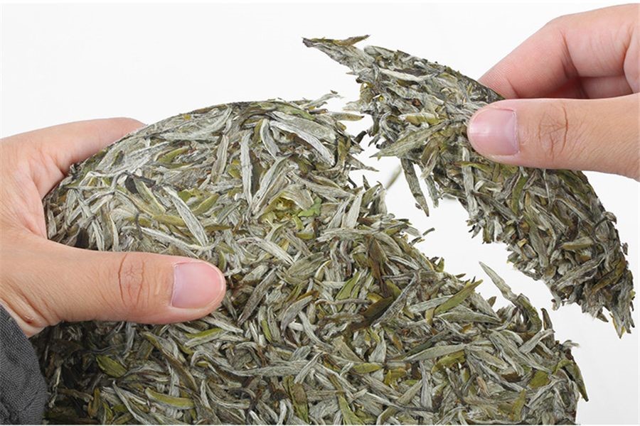 馥益堂白茶制作工艺,北路白茶和馥益堂白茶选择