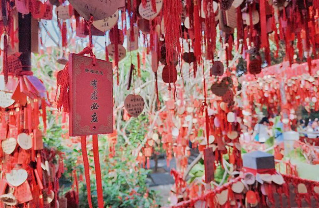 在深圳可不去世界之窗，但不可错过凤凰山森林公园，一览宝安风景