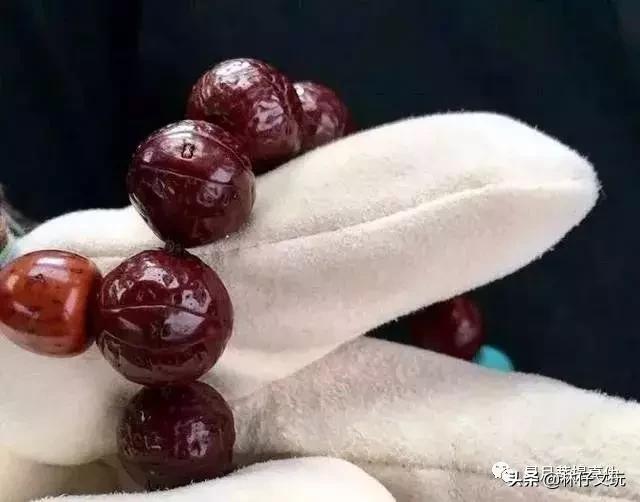 凤眼菩提视频教程,凤眼菩提最全面的讲解