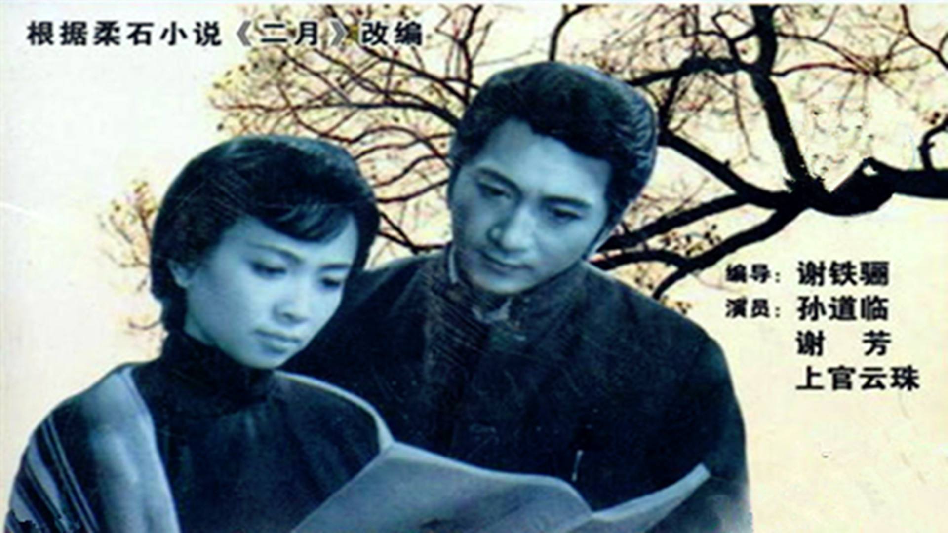 宅家里看老电影,宅在家里看的十二部电视剧