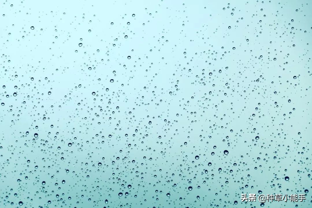 全球购买神仙水,230元的神仙水是真的吗