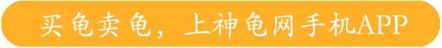 龟冬眠后再也没能醒来，究竟怎么做才能让龟龟安全过冬呢？