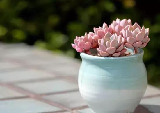 商业化的原罪？《吞食孔明传》：十年热忱换来的一场风波