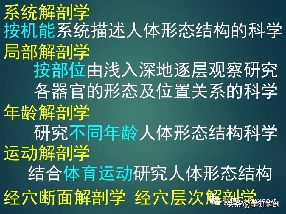 人体解剖学和系统解剖学,解剖学人体重要结构讲解