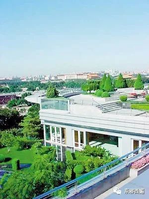 她到底美不美？被儿子骂“猪头”束手无策，豪门阔太不好当啊！