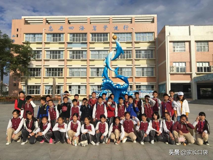 上海十大鸡血学校,上海最好的鸡血小学排名