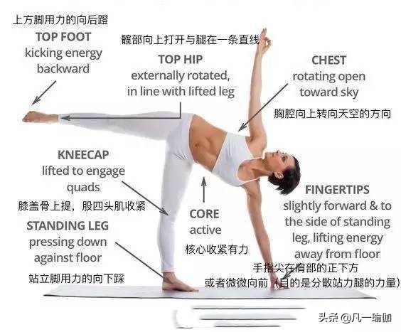 瑜伽练习的基本原则,瑜伽之光讲的什么