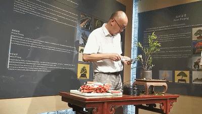 七彩夏日未成年人暑假系列活动,小学生七彩夏日暑假假期活动主题