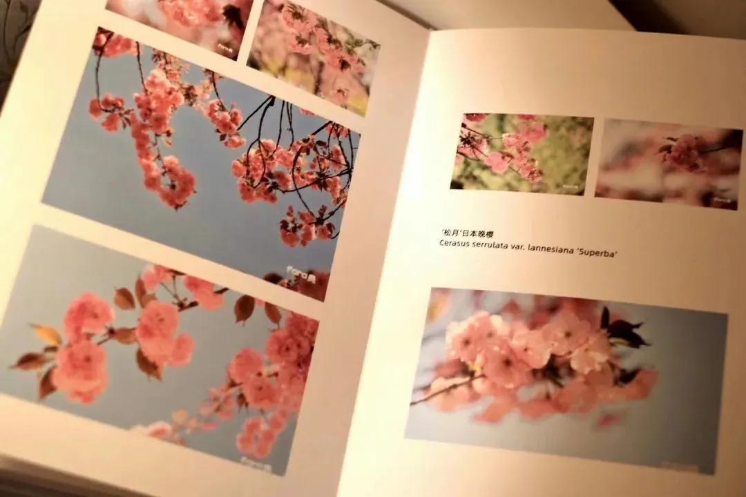 给自己做照片书,做好照片书