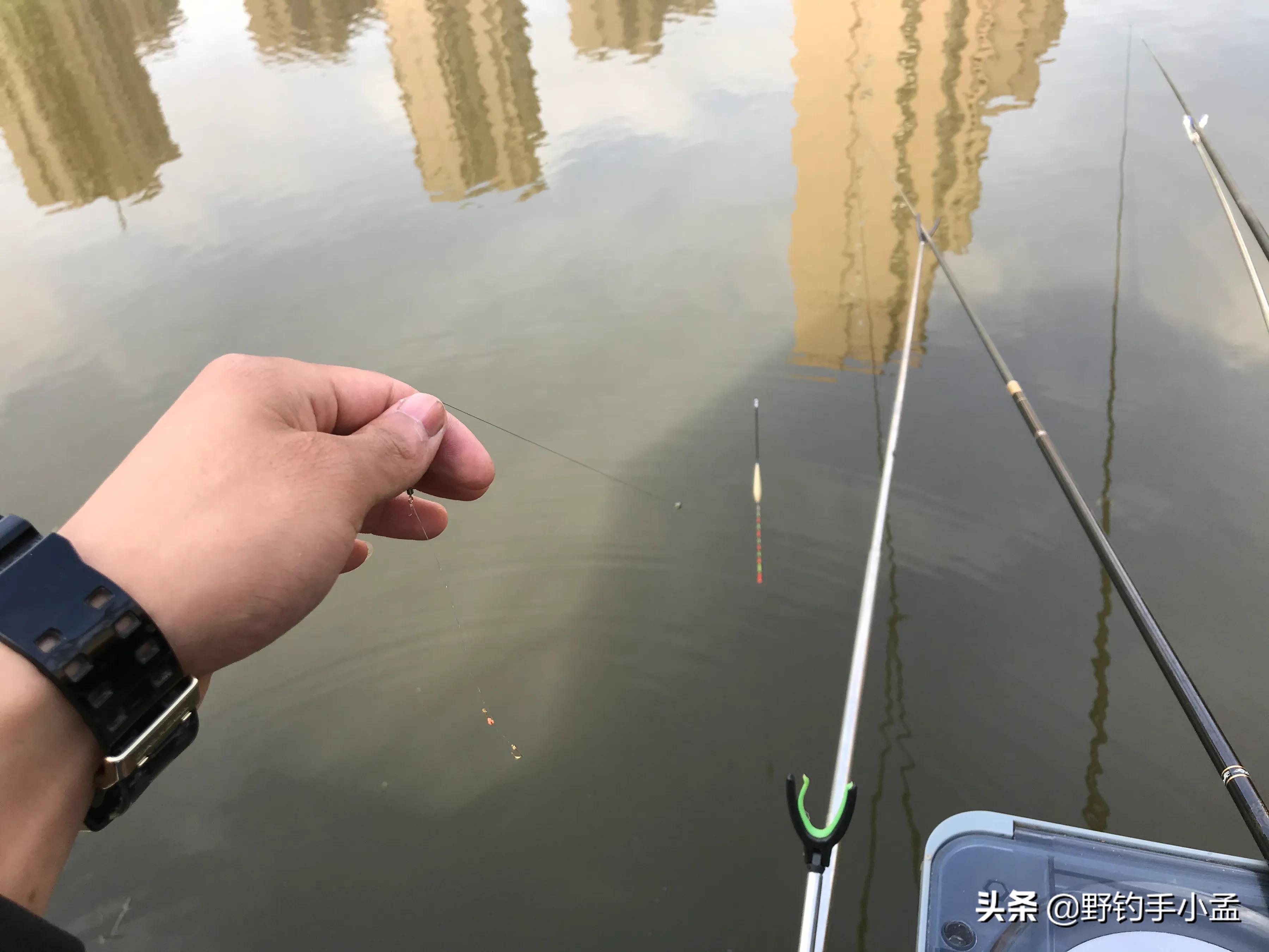 遇到鱼上浮该怎么钓,春季鲫鱼上浮不吃钩怎么钓